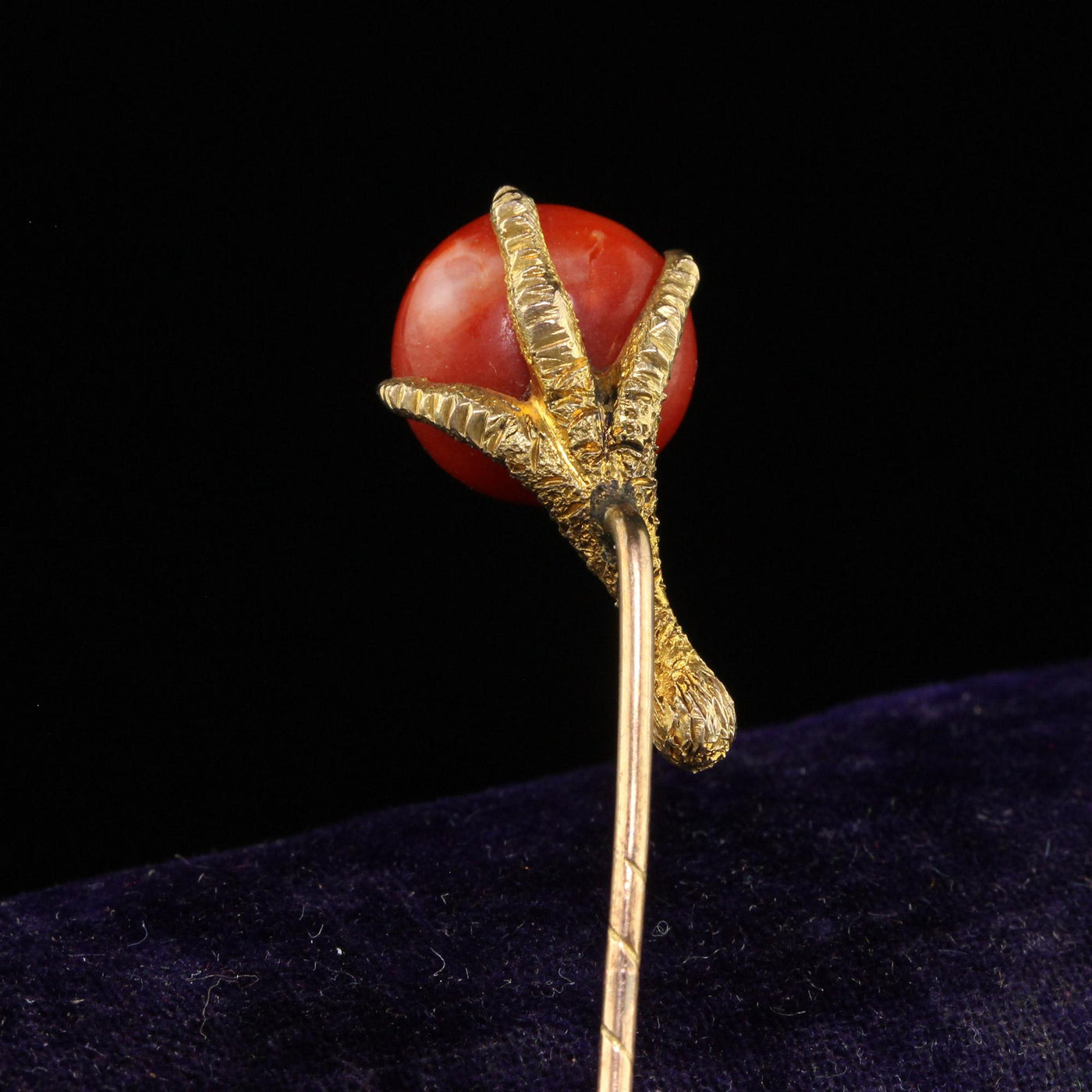 Antique Victorian 14K Yellow Gold Natural Coral Claw Stick Pin