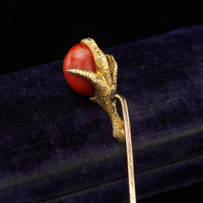 Antique Victorian 14K Yellow Gold Natural Coral Claw Stick Pin