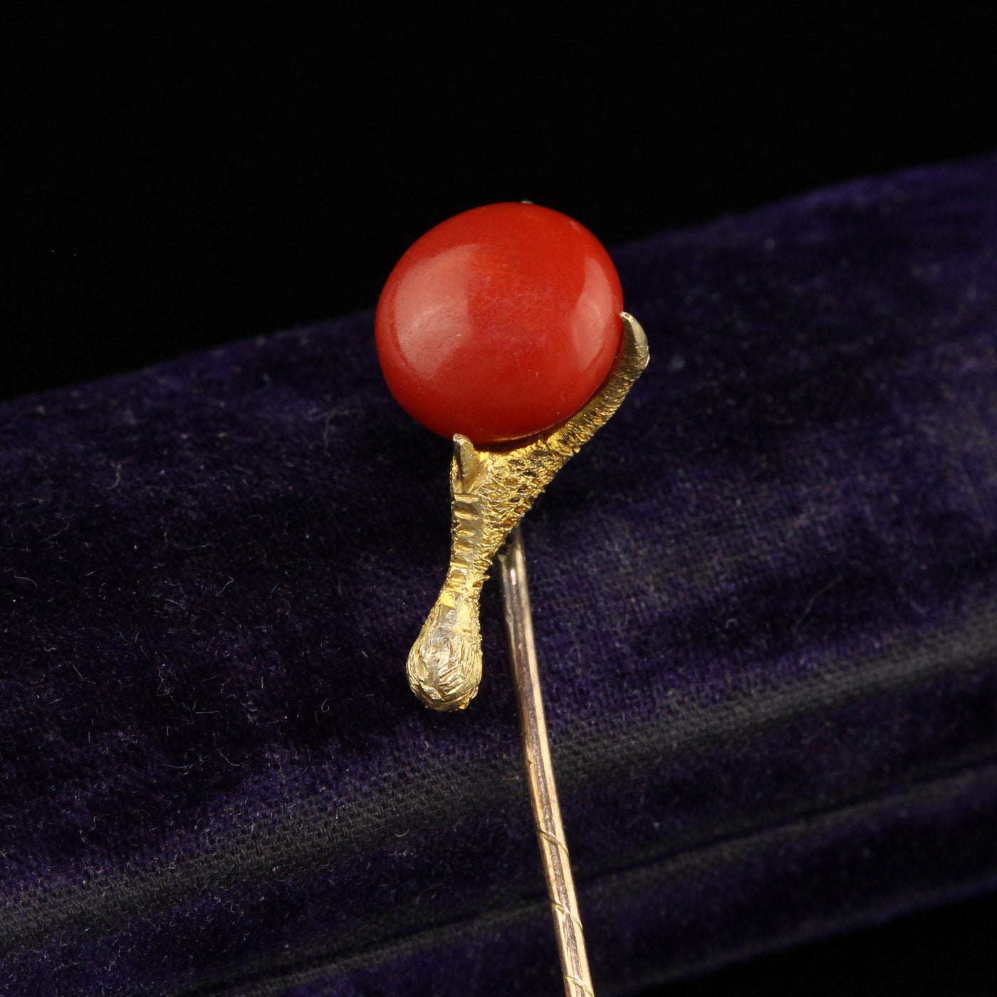 Antique Victorian 14K Yellow Gold Natural Coral Claw Stick Pin