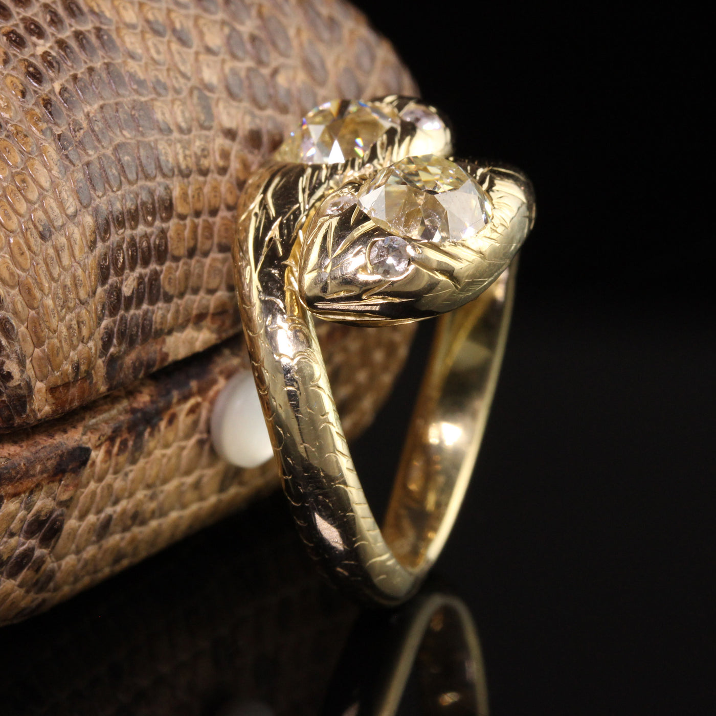 Snake Ring 001-231-00380 - Joint Venture Jewelry Cary NC | Joint Venture  Jewelry | Cary, NC